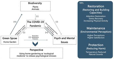 Home Garden With Eco-Healing Functions Benefiting Mental Health and Biodiversity During and After the COVID-19 Pandemic: A Scoping Review